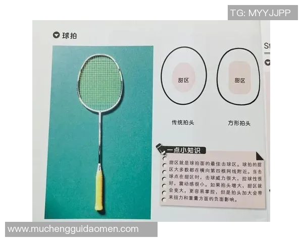 羽毛球巨献：探秘成都羽毛球队的技术